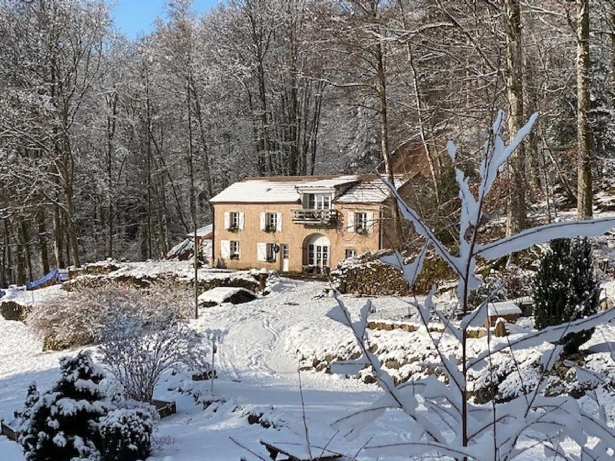 Gite Du Bois Des Hauts Les Mille Etangs La Lanterne-et-les-Armonts المظهر الخارجي الصورة