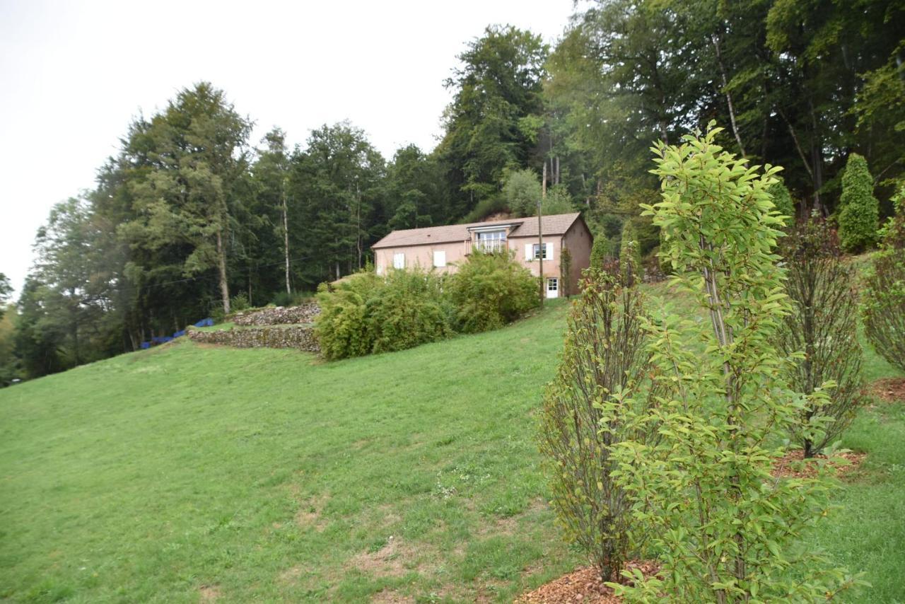 Gite Du Bois Des Hauts Les Mille Etangs La Lanterne-et-les-Armonts المظهر الخارجي الصورة